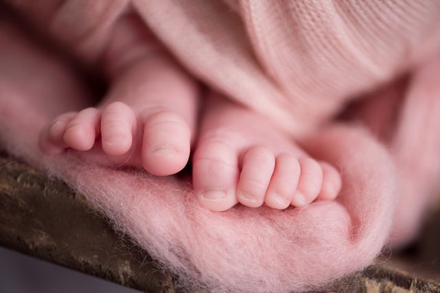 detalhe dos pés de newborn fotos de acompanhamento de bebês fotografia de menina recém-nascida newborn fotógrafa laura alzueta