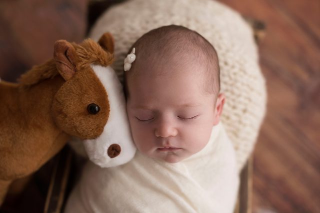 bebê recém-nascida enrolada no wrap com bicho de pelúcia no estúdio fotográfico laura alzueta