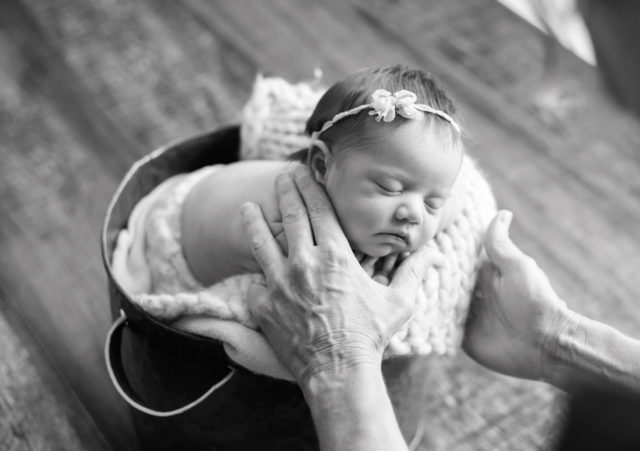 curso para fotografar bebês fotografa laura alzueta workshop de fotografia newborn sp