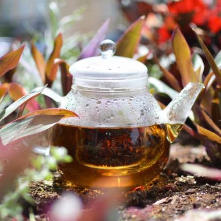 GROSCHE glasgow teapot making green tea in garden glass infuser