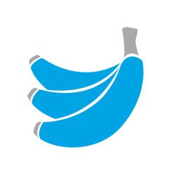 banana-plantation-project-grosche-social-enterprise