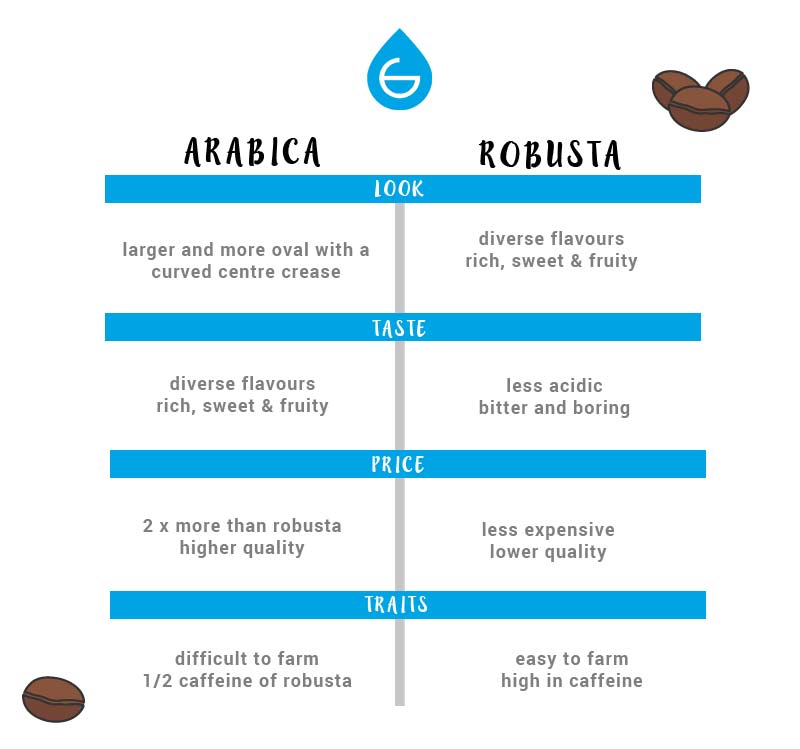 arabica coffee vs robusta coffee chart grosche