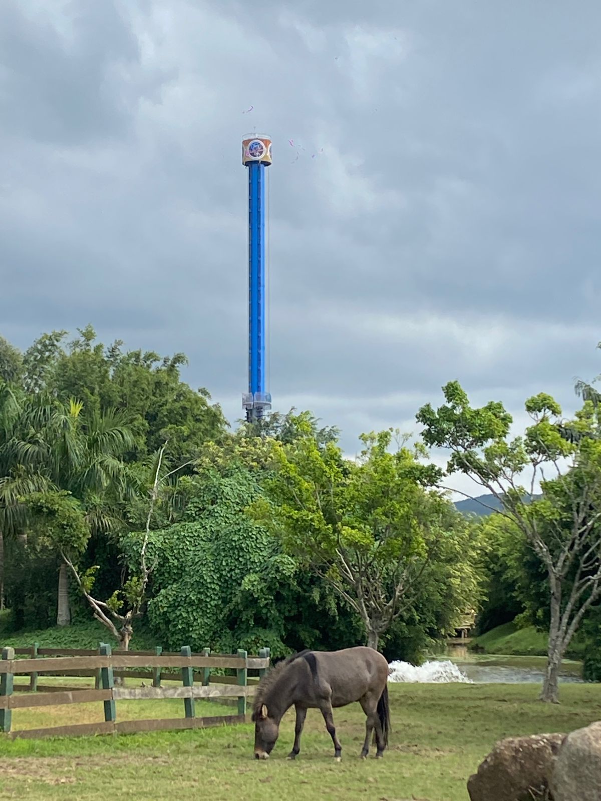 Beto Carrero inicia remodelação da área infantil, Zoo e Big Tower.