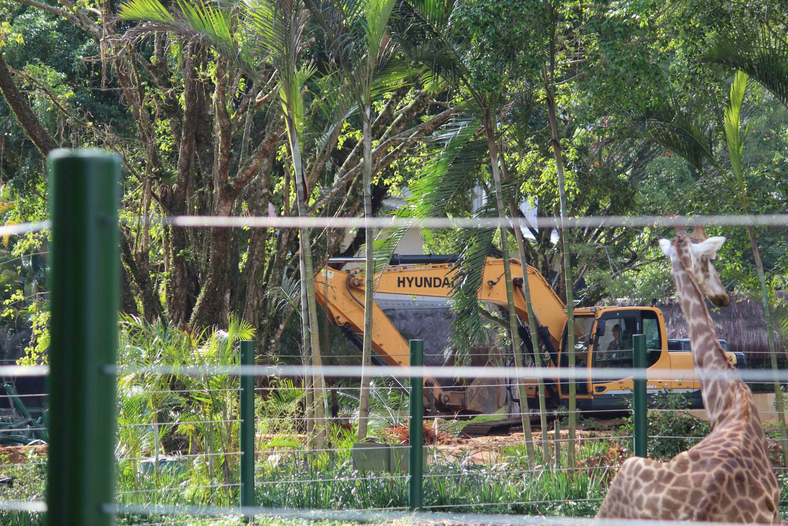 Beto Carrero inicia remodelação da área infantil, Zoo e Big Tower.