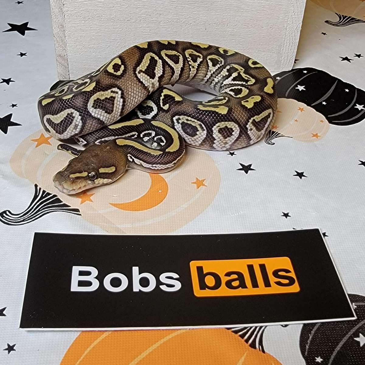 5537
