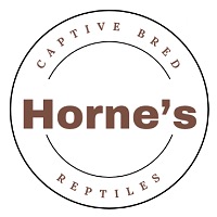 store