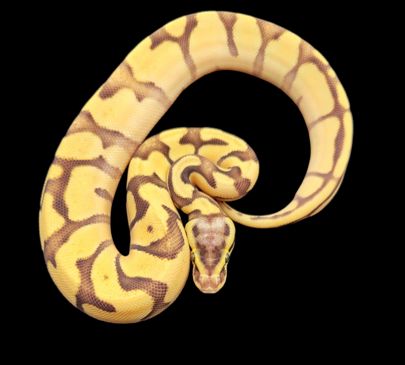 6.3.22