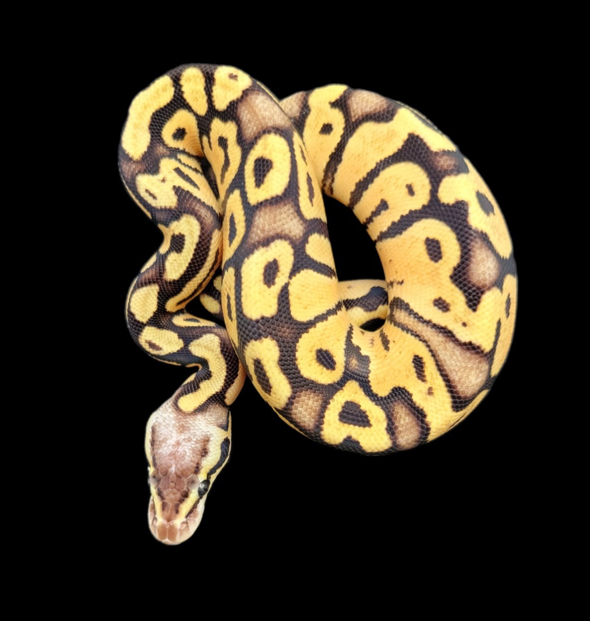 6.5.22