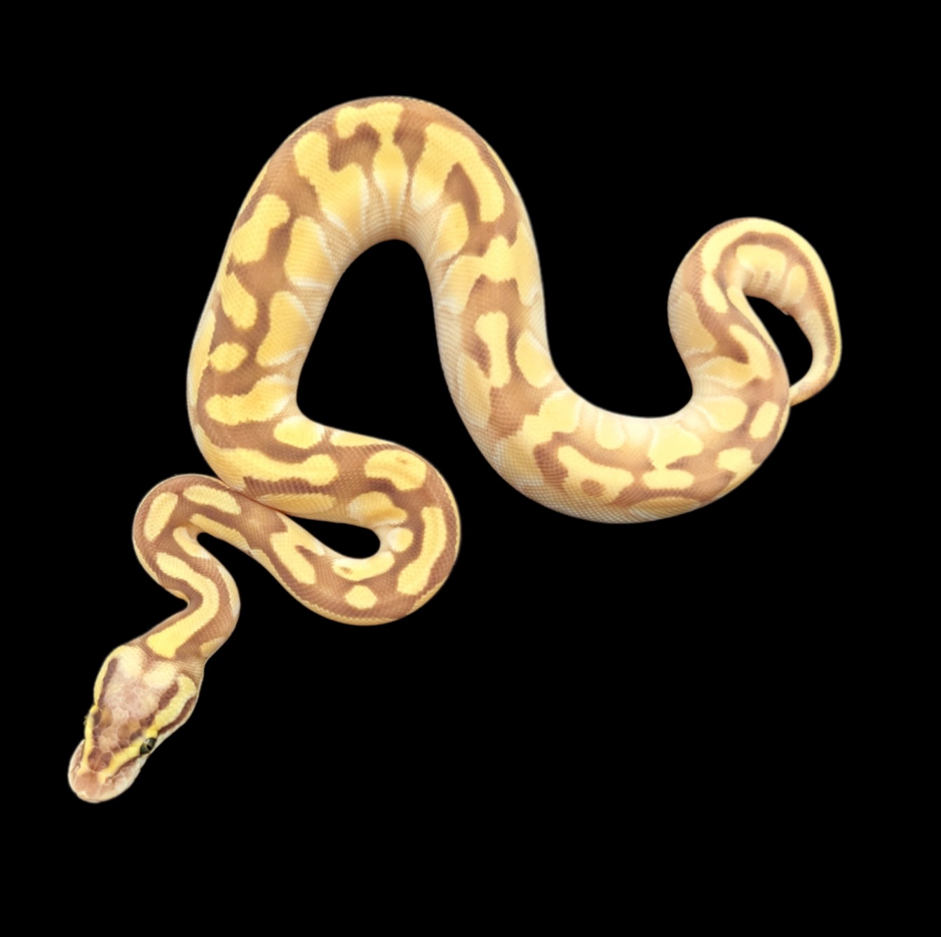 6.8.22