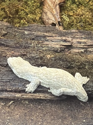 animal image
