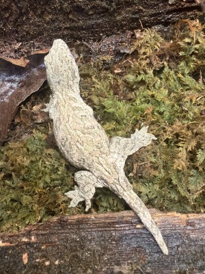 animal image