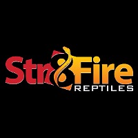 store