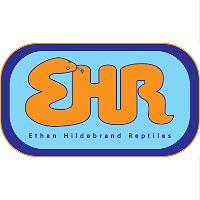 store