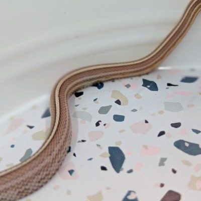 animal image