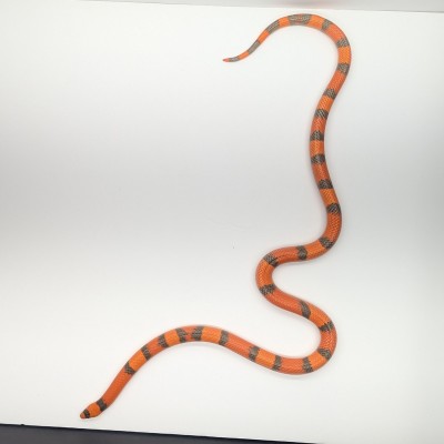 animal image