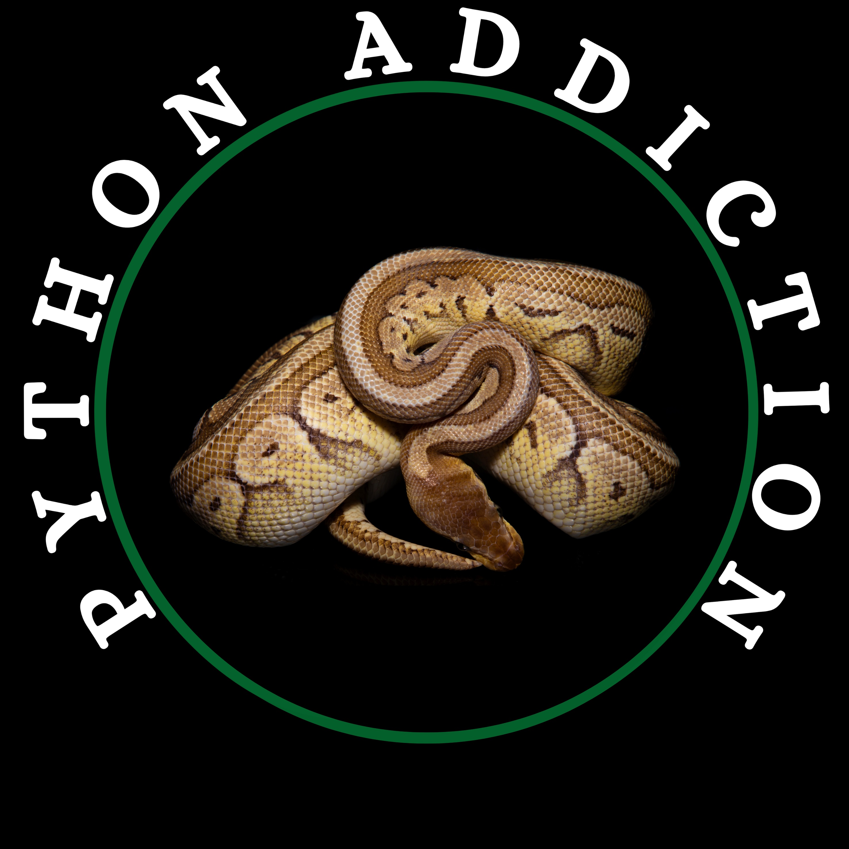 Python Addiction