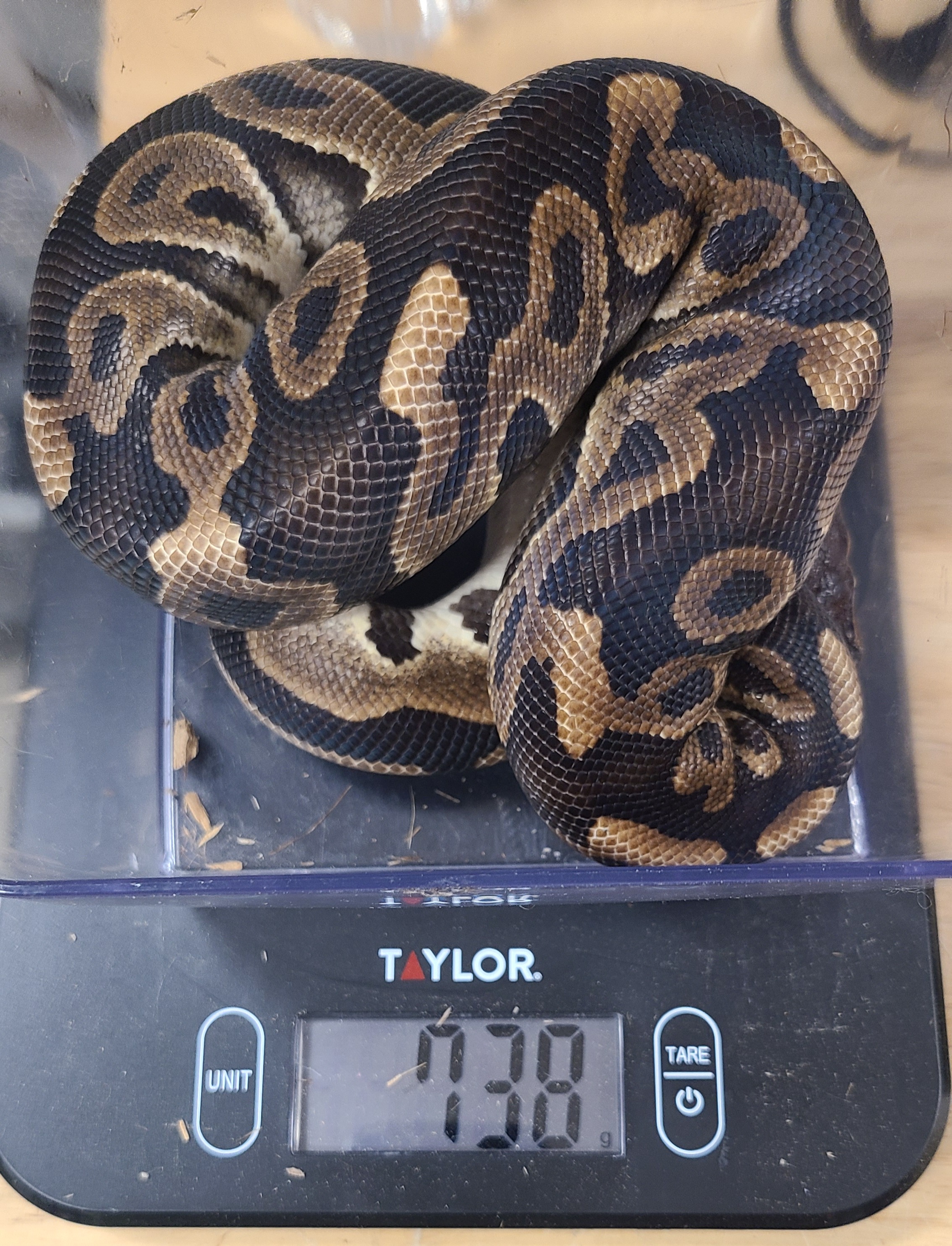 BP0171