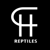 CH Reptiles