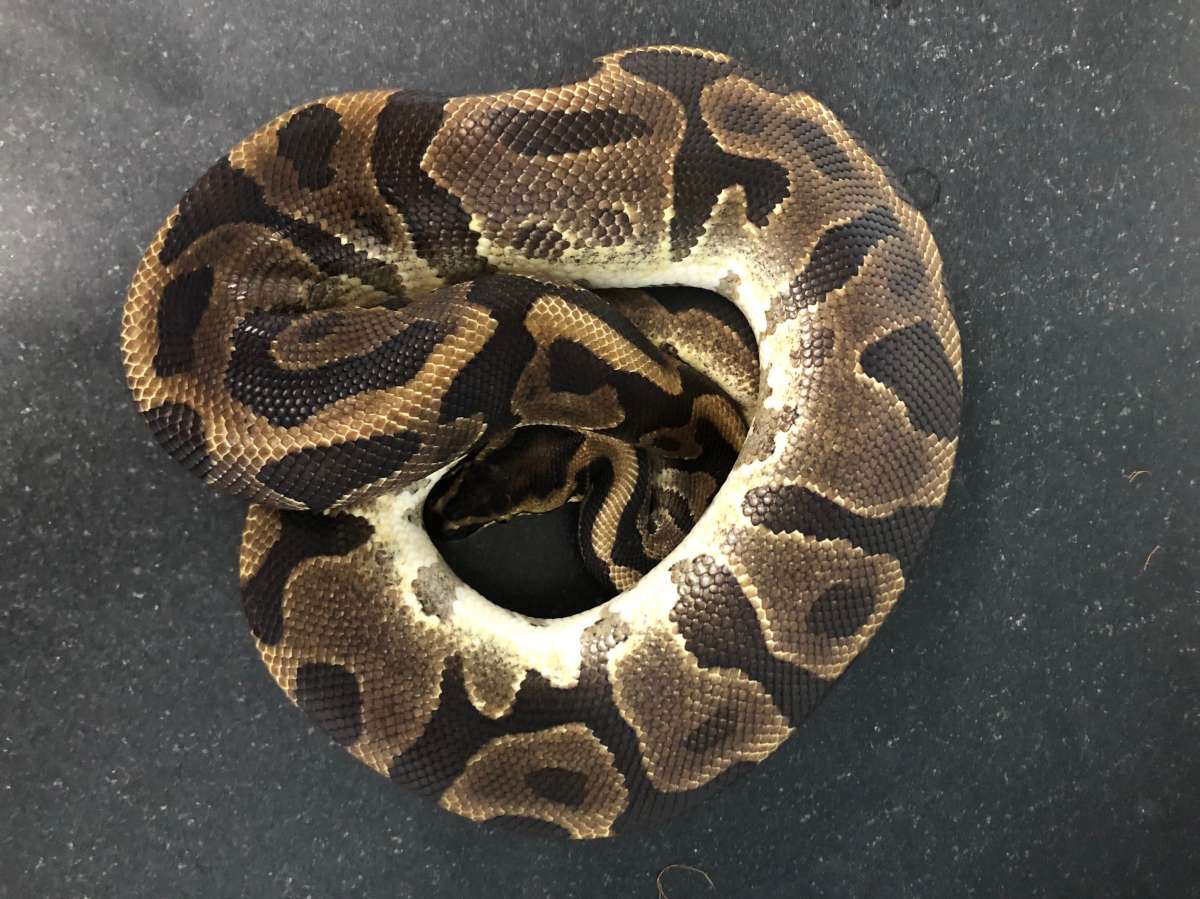 2018-04