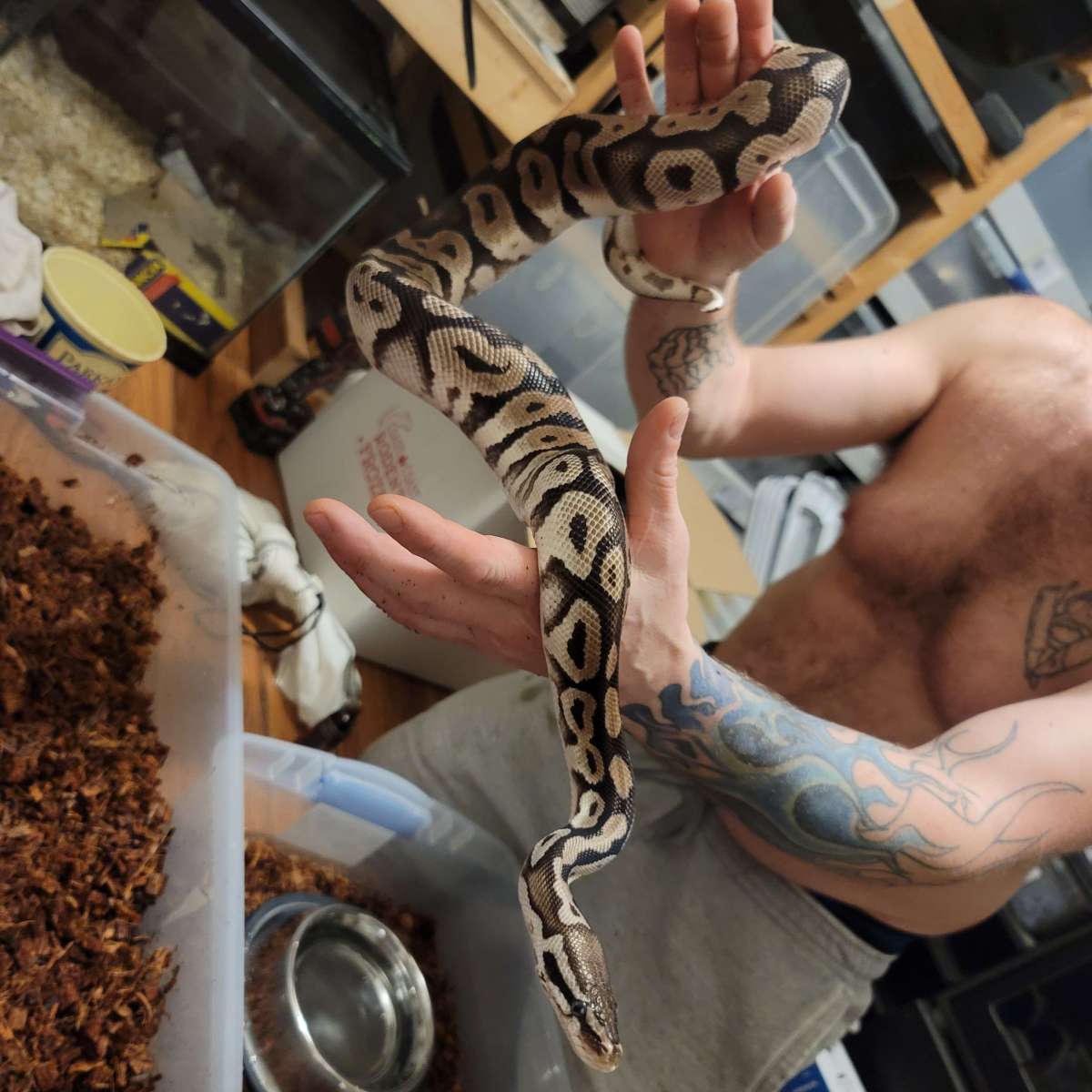 New breeder 2023