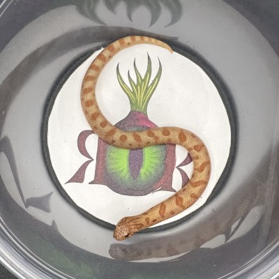 animal image