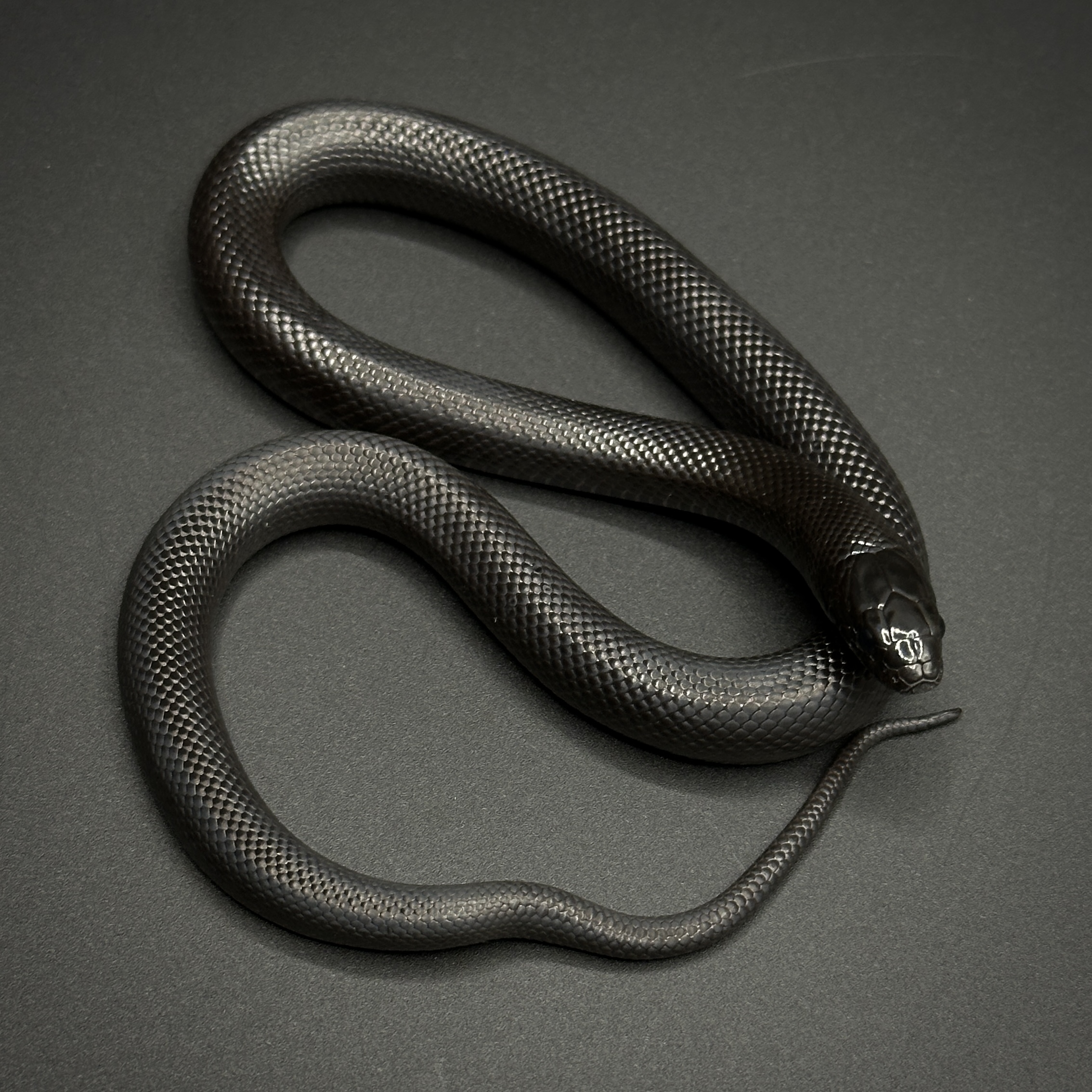 animal image