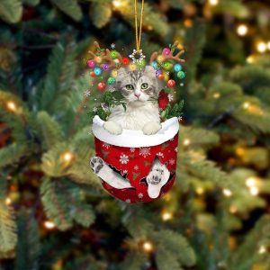 American Curl Cat In Snow Pocket Christmas&hellip;