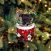 Black American Pitbull Terrier In Snow Pocket Christmas Ornament – Flat Acrylic Dog Ornament