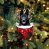 Black French Bulldog In Snow Pocket Christmas Ornament – Flat Acrylic Dog Ornament Hanging Gift
