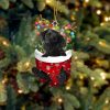 Black Goldendoodle In Snow Pocket Christmas Ornament – Dog Memorial Gift – Flat Acrylic Dog Ornament