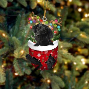 Black Labrador In Snow Pocket Christmas Ornament&hellip;