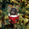 Black Labrador In Snow Pocket Christmas Ornament – Flat Acrylic Dog Ornament – Christmas Decor