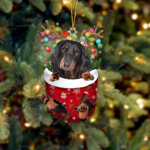 Black Long Haired Dachshund In Snow Pocket&hellip;