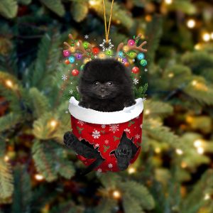 Black Pomeranian In Snow Pocket Christmas Ornament&hellip;