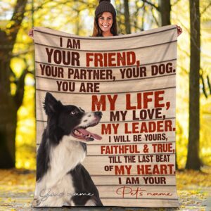 Border Collie – Your Friend Your Partner&hellip;