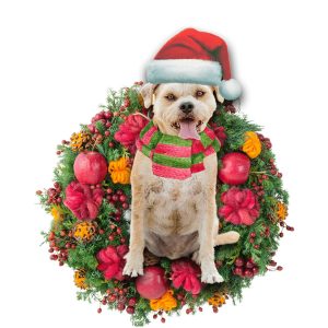 Border Terrier Christmas Christmas Plastic Hanging Ornament&hellip;