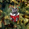 British Shorthair In Snow Pocket Christmas Ornament – Dog Memorial Gift – Flat Acrylic Cat Ornament