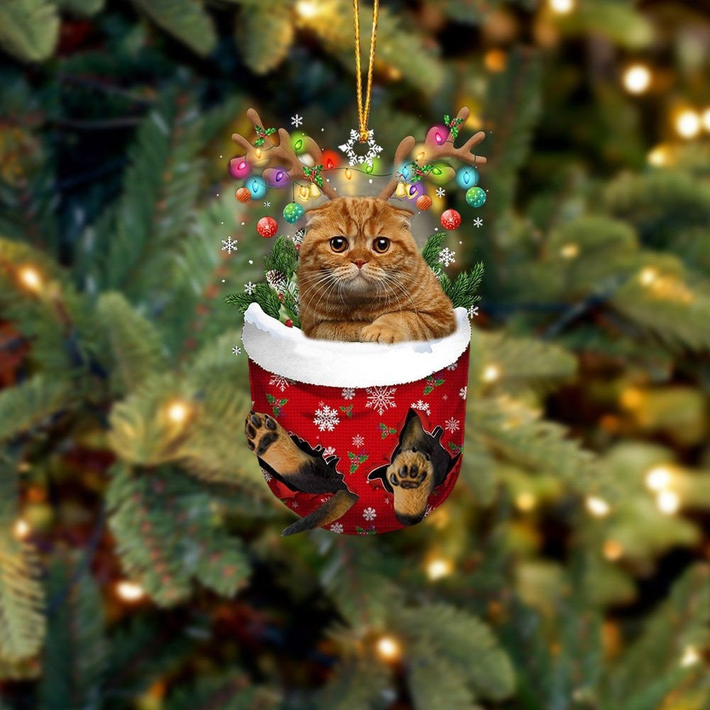 Brown Cat In Snow Pocket Christmas Ornament – Flat Acrylic Cat Ornament – Christmas Decor