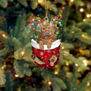 Brown Cat In Snow Pocket Christmas Ornament - Flat Acrylic Cat Ornament - Christmas Decor