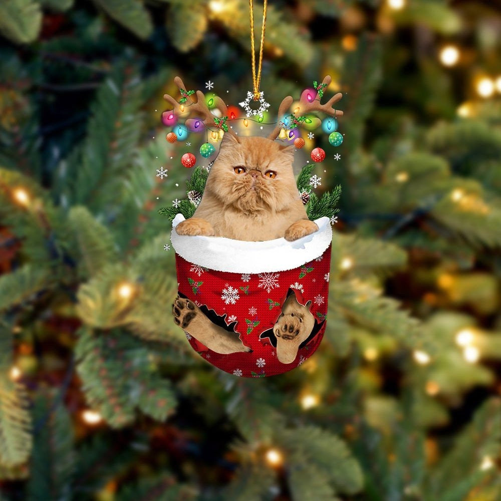 Brown Cat In Snow Pocket Christmas Ornament – Flat Acrylic Cat Ornament – Christmas Decor