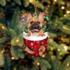 Brown Pitbull In Snow Pocket Christmas Ornament – Flat Acrylic Dog Ornament Hanging Gift