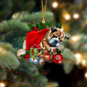 Bulldog-Sleeping In Hat Two Sides Christmas Plastic&hellip;