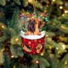 Cairn Terrier In Snow Pocket Christmas Ornament – Dog Memorial Gift – Flat Acrylic Dog Ornament