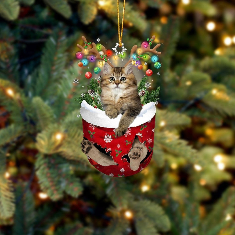 Cat British Longhair In Snow Pocket Christmas Ornament – Flat Acrylic Cat Ornament