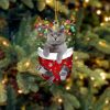 Cat British Longhair In Snow Pocket Christmas Ornament – Flat Acrylic Cat Ornament