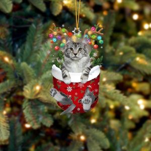 Cat Maine Coon In Snow Pocket Christmas&hellip;