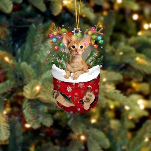 Cat Oriental Shorthair In Snow Pocket Christmas&hellip;