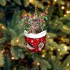Cat Scottish Fold In Snow Pocket Christmas Ornament – Flat Acrylic Cat Ornament