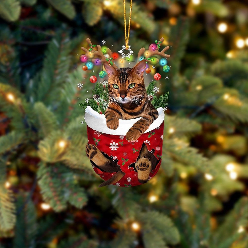 Cat Tiger In Snow Pocket Christmas Ornament – Ornaments Hanging Gift – Flat Acrylic Cat Ornament