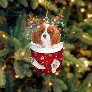 Cavalier King Charles Spaniel 1 In Snow&hellip;